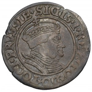 Sigismund I the Old, Groschen for Prussia 1535, Thorn