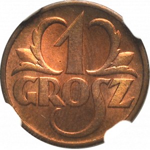 II Republic of Poland, 1 groschen 1938 - NGC MS66 RB