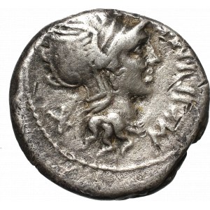 Roman Republic, Manius Cipius, Denar (115-114 BC)