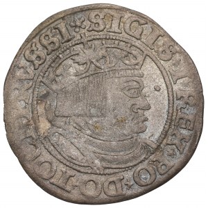 Zygmunt I Stary, Grosz dla ziem pruskich 1532, Toruń - PRVSS/PRVSSI