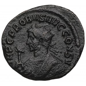 Cesarstwo Rzymskie, Probus, Antoninian Ticinum - PROVIDENT AVG seria EQVITI