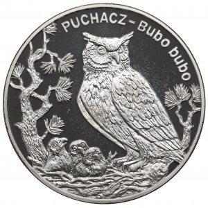 III RP, 20 złotych 2005 Puchacz