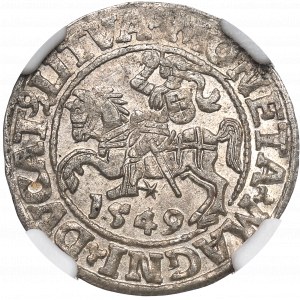 Sigismund II Augustus, Halfgroat 1549, Vilnius - LI/LITVA NGC MS63