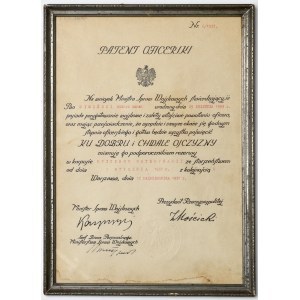 II RP, Patent oficerski korpus oficerów weterynarii - rzadkość