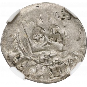 Vladislaus II Jagello, Halfgroat without date, Cracow - NGC AU50