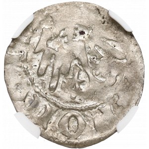 Władysław II Jagiełło, Półgrosz z F‡, Kraków - NGC AU50