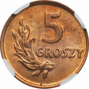 PRL, 5 groszy 1949 Brąz - NGC MS65 RD