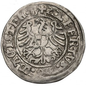 Teutonic Orden, Albrecht Hohenzollern, Grossus 1513