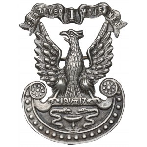 Polska, Orzeł I Zjazd Medycyny Wojennej 1917