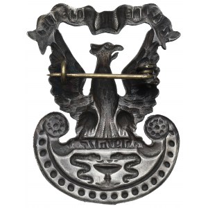 Polska, Orzeł I Zjazd Medycyny Wojennej 1917