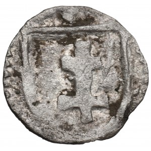 Vladislaus II Jagello, Denarius without date, Fraustadt