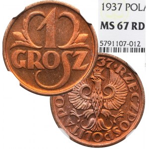 II Rzeczpospolita, 1 grosz 1937 - NGC MS67 RD
