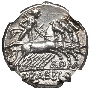 Roman Republic, M. Baebius, Denarius - NGC Ch AU