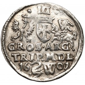Sigismund III Vasa, Trojak 1601, Vilnius - Adler in Krone - EINZIGARTIG