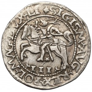 Sigismund II Augustus, Trojak 1565, Tykocin - SCHÖN und RAR