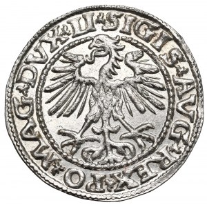 Zygmunt II August, Półgrosz 1552, Wilno - LI/LITVA