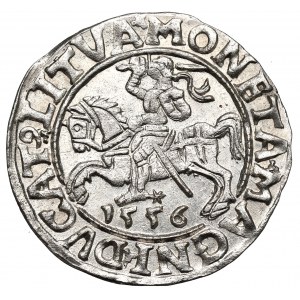 Sigismund II Augustus, Halfgroat 1556, Vilnius