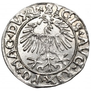 Sigismund II Augustus, Halbpfennig 1556, Wilna - LI/LITVA - ausgezeichnet