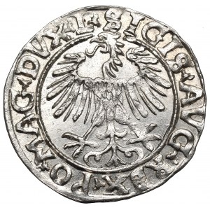 Zygmunt II August, Półgrosz 1556, Wilno - LI/LITVA - znakomity