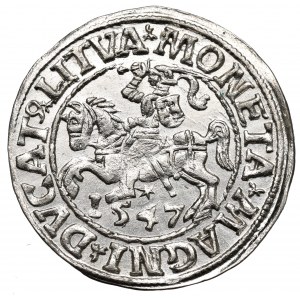 Sigismund II Augustus, Halbpfennig 1547, Wilna - LI/LITVA - geprägt