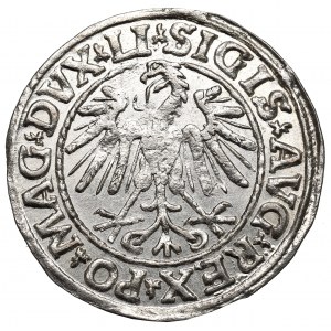 Sigismund II Augustus, Halfgroat 1547, Vilnius