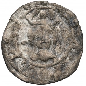 Casimir III the Great, Denarius without date, Cracow