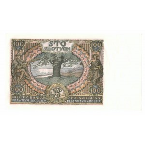 II RP, 100 złotych 1934 AV. dodatkowy znak wodny X