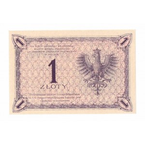 II RP, 1 Zloty 1919 S. 63 B Ex Lucow