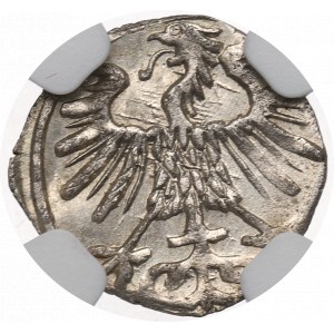 Sigismund II August, Denarius 1556, Vilnius - NGC MS66