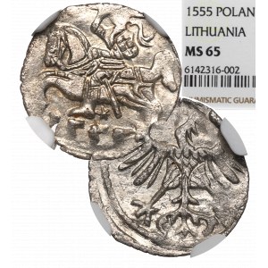 Sigismund II Augustus, Denarius 1555, Vilnius - NGC MS65