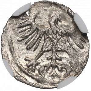 Sigismund II Augustus, Denar 1555, Vilnius - NGC MS65