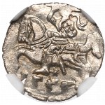 Sigismund II Augustus, Denarius 1555, Vilnius - NGC MS65