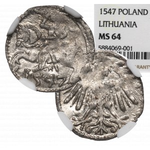 Sigismund II Augustus, Denar 1547, Vilnius - NGC MS64