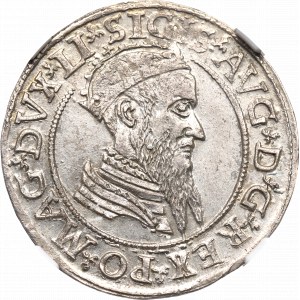 Sigismund II Augustus, Viereck 1568, Vilnius - LI/LITVA - NGC MS62