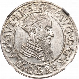 Zygmunt II August, Czworak 1568, Wilno - LI/LITVA - NGC MS62