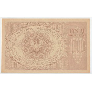 II RP, 1000 marek polskich 1919 bez oznaczenia serii - REWELACYJNY