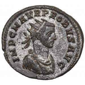 Cesarstwo Rzymskie, Probus, Antoninian Rzym - ADVENTVS PROBI AVG