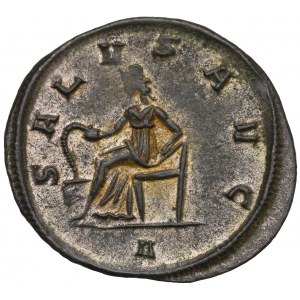 Römisches Reich, Probus, Antoninian Ticinum - SALVS AVG