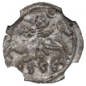 Zygmunt II August, Denar 1555, Wilno - NGC AU58
