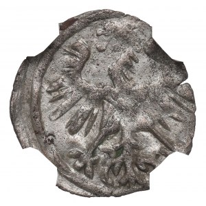 Sigismund II Augustus, Denarius 1555, Vilnius - NGC AU58