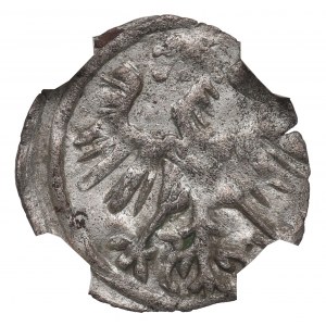 Sigismund II Augustus, Denar 1555, Vilnius - NGC AU58