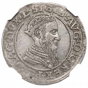 Sigismund II Augustus, 4 groschen 1565, Vilnius - L/LITV NGC AU55