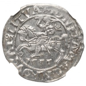 Sigismund II Augustus, halber Pfennig 1555, Vilnius - LI/LITVA - NGC MS64