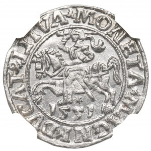 Sigismund II. Augustus, Halbpfennig 1551, Wilna - LI/LITVA - NGC MS64