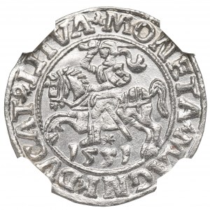 Zygmunt II August, Półgrosz 1551, Wilno - LI/LITVA - NGC MS64