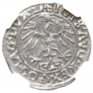 Sigismund II Augustus, Half-groat 1555, Vilnius - LI/LITVA NGC MS63