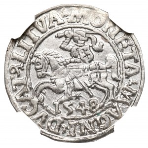 Sigismund II Augustus, Halbpfennig 1548 Wilna - LI/LITVA - NGC MS63