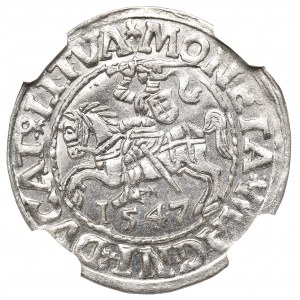 Sigismund II Augustus, Halbpfennig 1547, Wilna - LI/LITVA - NGC MS63