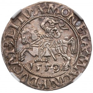 Sigismund II Augustus, halber Pfennig 1559, Vilnius - L/LITVA - NGC MS62