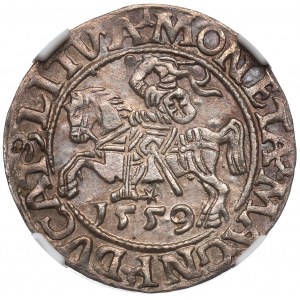 Sigismund II Augustus, Halfgroat 1559, Vilnius - NGC MS62